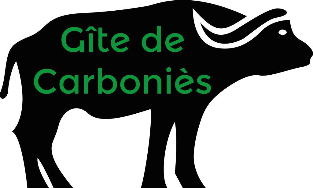 Gite De Carbonies Saint-Felix-de-Lunel Экстерьер фото